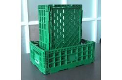 China Sonsill Green Vegetable Storage Reusable Collapsible New PP Plastic 32 Liters Crate supplier