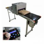 High Performance Egg Printing Machine Can Print Large Or Micro Characters for sale