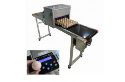 China High Performance Egg Printing Machine Can Print Large Or Micro Characters supplier