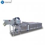 Premium Food Washing Machine Ensuring Hygienic Food Preparation Without Fail