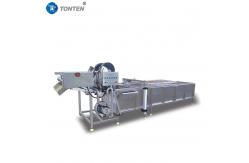 China Premium Food Washing Machine Ensuring Hygienic Food Preparation Without Fail supplier