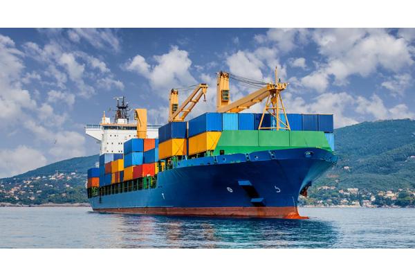 25 Days Transit Time Freight Forwarder China To Canada