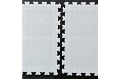China Interlocking Hockey Skating Tiles Smooth Indoor Ice Skating Tiles supplier