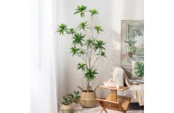 China Artificial special-shaped dracaena Reflexa tree green home deco hotel office potted tree supplier