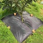Eco Friendly PE Material Weed Barrier Fabric For 5 Years