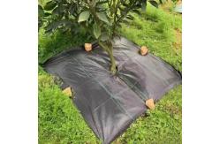 China Eco Friendly PE Material Weed Barrier Fabric For 5 Years supplier