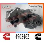 Diesel Common Rail ISL8.9 ISC8.3 Engine Fuel Injection Pump 4903462 4921431 3973228 for sale