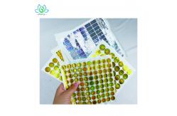 China UV Printing Tamper Evident Security Labels , Hologram Stickers For Certificates supplier