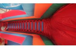 China 1000D Plato Commercial Inflatable Water Slides Digital Printing supplier