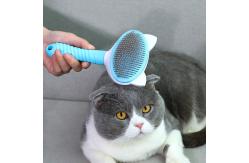 China Custom Stainless Steel Houseware Pet Hair Remover Brush For Dog Cat supplier