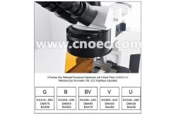 China Infinity Trinocular Fluorescence Microscope With Disc LED  A16.4501 supplier