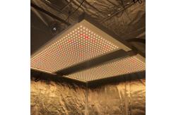 China Lm301h 630w V3 Quantum Board LED Grow Light For 4x4 Grow Tent supplier