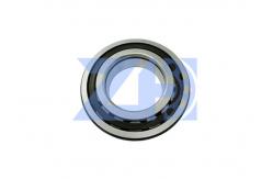 China Suitable For  DNB50/60 Stravel Motor Bearing supplier