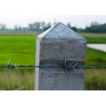 Farm Protection 50kg  Double Strand Reverse Twist Electro Barbed Wire Roll for sale