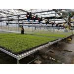 Rolling Wire Greenhouse Growing Beds for sale
