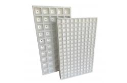 China EPS foam seedling tray Customized vegetable, flower and tobacco seedling tray supplier
