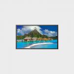 High Brightness 32 inch LCD Panel with eDP Interface and 1920*1080 Resolution -20-70C LCMA-RX0320GP01-C005 for sale