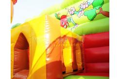 China SGS Inflatable Amusement Park Castle Commercial Combo Bounce House supplier