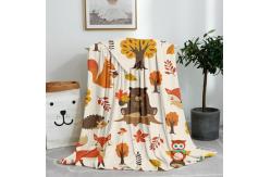 China 100 Polyester Fleece Throw Blankets Machine Weaved For Living Room supplier