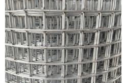 China 5x5 Welded Wire Mesh For Bird Cage Rabbit Chicken Pet Cage supplier