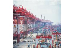 China International Sea Freight Forwarding DDP From China To New Zealand supplier