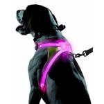 Nylon Flashing LED Dog Harness , Lighted Dog Harness With Rainproof Function for sale