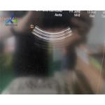Samsung V4-8 Ultrasound Transducer Probe Replace Crystal And Repair 4D for sale