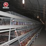 Battery Cages For Laying Hens In The Poultry Farm House Constructed With Hot-dip Galvanized Steel. for sale