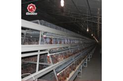 China Hot Dip Galvanized Steel Layer Chicken Cage 90-160 Chickens Easy To Install supplier