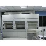 Multifunctional Chemical Vent Hood For Hospital And School Laboratory for sale