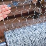 1X 20ga Hexagon Wire Mesh Chicken Wire Mesh Roll For Poultry Farm Mesh Net for sale
