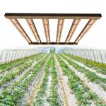 480W Samsung LM301H Horticulture LED Grow Lights For Greenhouse for sale