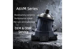 China Rexroth Hydraulic A6VM Motor A6VM80 A6VM107 A6VM250 A6VM160 A6VM200 Piston Motor supplier