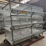 Modern Farm 150 / 200 Birds Broiler Chicken Cage Q235A Steel Wire Material for sale