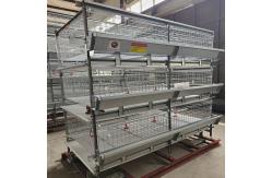 China 3-9 Floor Farm Battery Chicken Cage With Automatic System supplier
