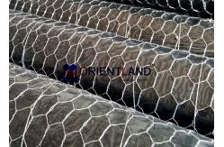 China Galvanized Steel Poultry Mesh Netting 1-500m Per Roll Erosion Resistant supplier