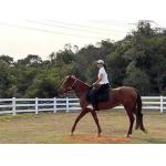 Waterproof Outside Vinyl Plastic For Ranch Fence Paddock Fencing for sale