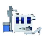 500KG Automatic Vision Counter Screw PE Packing Machine Professional Durable