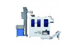 China 500KG Automatic Vision Counter Screw PE Packing Machine Professional Durable supplier