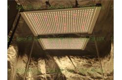 China 240 Watt Quantum Board Tent 2x2 Led Grow Light supplier