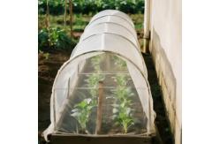 China 3m Width HDPE Garden Netting Providing Protection for Vegetables Fruits and Flowers  supplier