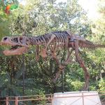 Weather Resistance T Rex Skeleton Replica