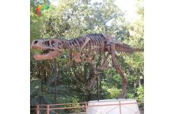 China Weather Resistance T Rex Skeleton Replica supplier