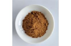 China gmp health care product extract butcher's broom root supplier