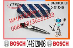 China High Quality Diesel Engine Fuel Common Rail Injector 0445120399 0445120400 0445120403 supplier