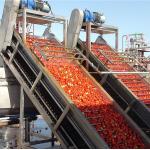 10ml - 220L Jam Paste Sauce Processing Line With PLC Control System for sale