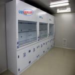 400m3/h Airflow PP Chemical Fume Hood Lab Fume Hoods Ensuring Clean and Healthy Work Environment for sale
