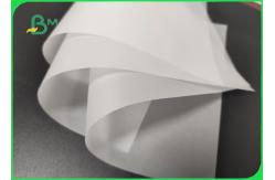 China White Pattern Translucent Paper 75gsm A1 Size Wrapping Paper supplier