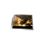 Original MAA250XB1-6 10.3 inch LCD Screen Display Panel for sale