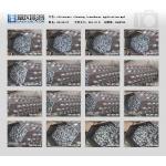 High Power Ultrasonic Cleaning Transducer For Washing Big Machine Parts for sale